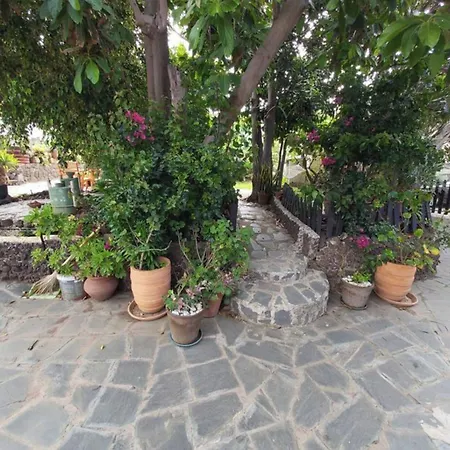 Rural House In The North Of Tenerife * Las Toscas